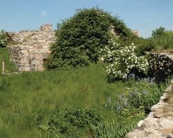 img-8